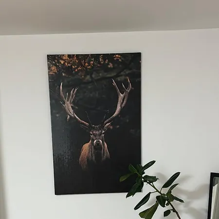 Souterrainwohnung Διαμέρισμα *